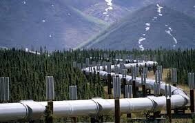 Trans-Alaska pipeline running through forest
